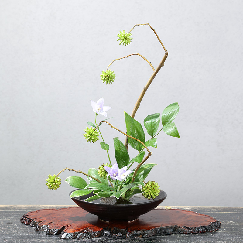 Japanese Frog Vase Ceramic Bou - огляд і ціна Ikebana Vase Kenzan