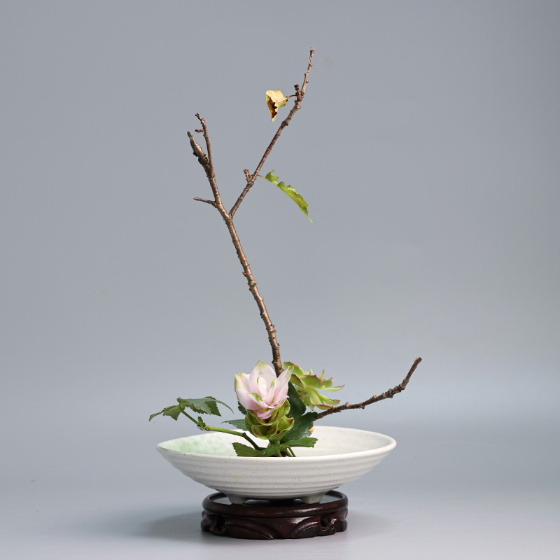 Japanese Frog Vase Ceramic Bou - огляд і ціна Ikebana Vase Kenzan
