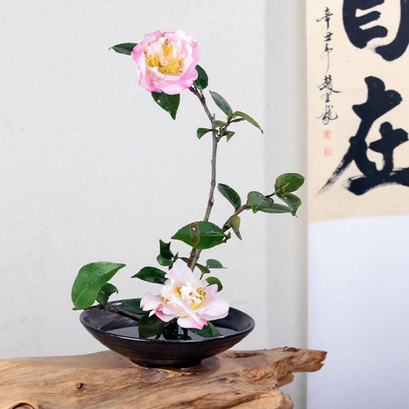 Japanese Frog Vase Ceramic Bou - огляд і ціна Ikebana Vase Kenzan
